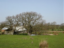 Pond by Lone Barn Farm